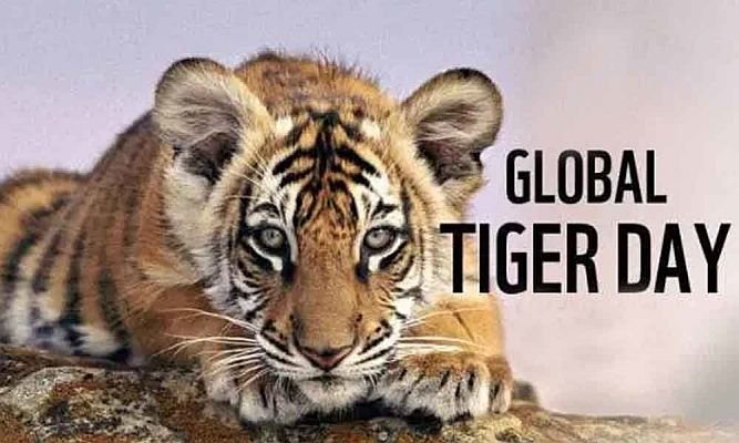 GLobal-Tiger-Day