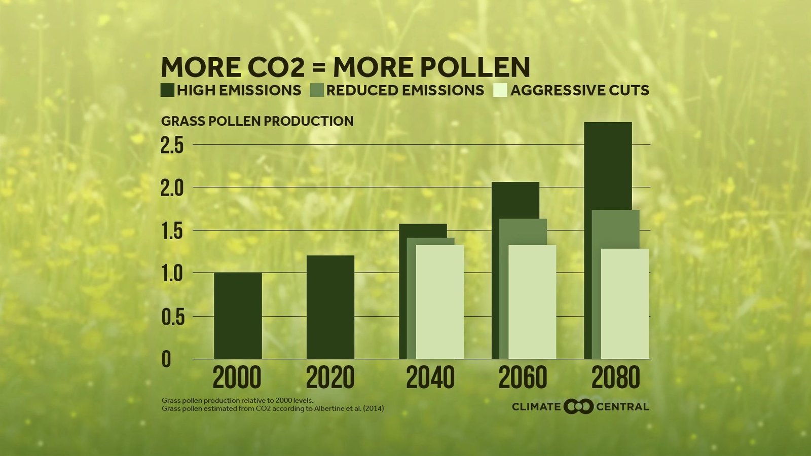 Climate Change Is Extending The Pollen Allergy Season Clean Future