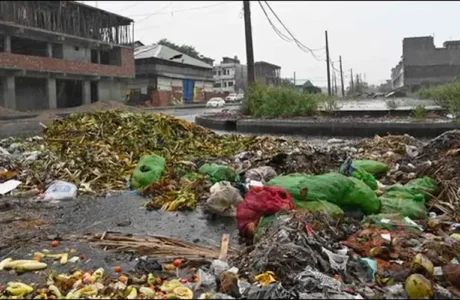 Delhi waste management