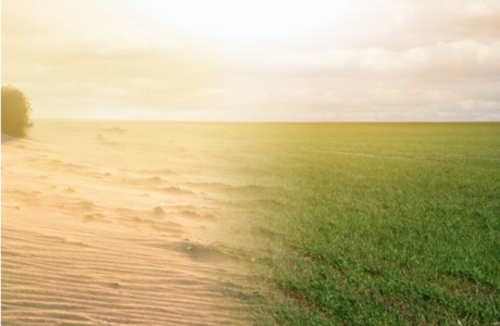 Combating Desertification: New Technologies Offer a Solution