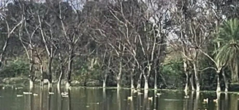 Surajpur wetland