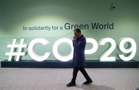 COP29